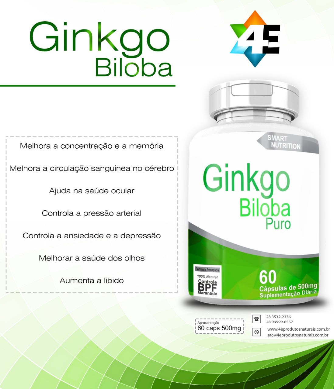 Ginkgo Biloba Puro